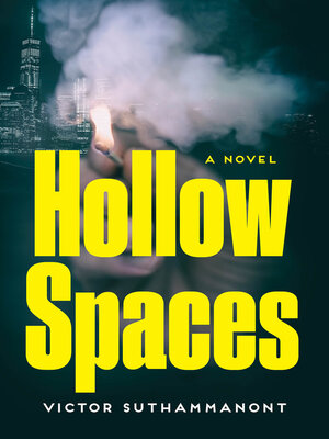 cover image of Hollow Spaces